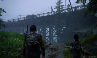 The Last of Us Remake