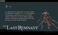 The Last Remnant