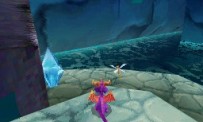 The Legend of Spyro : The Eternal Night