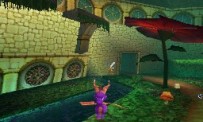 The Legend of Spyro : The Eternal Night