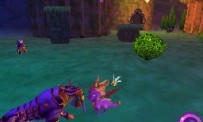 The Legend of Spyro : The Eternal Night