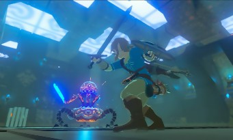 Zelda Wii U & NX