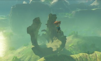 Zelda Wii U & NX