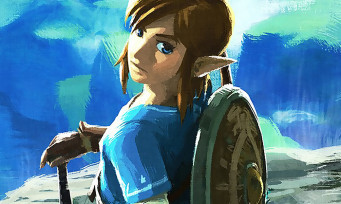 Zelda Breath of the Wild : le HUD aura un mode "Pro", voici une vidéo