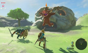 Zelda Wii U & NX