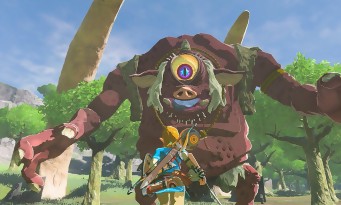 Zelda Wii U & NX