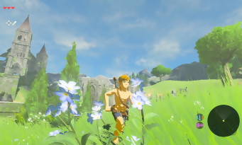 Zelda Wii U & NX