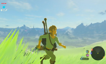 Zelda Wii U & NX