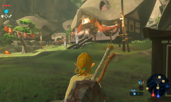 Zelda Wii U & NX