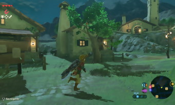 Zelda Wii U & NX