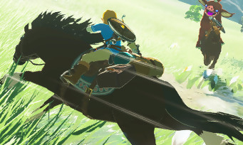Zelda Breath of the Wild : la mise à jour 1.1.2. est bien mystérieuse...