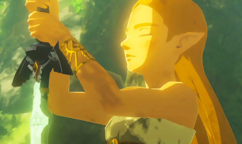 Zelda Breath of the Wild : il finit le jeu à 100% en jouant 49h non-stop !