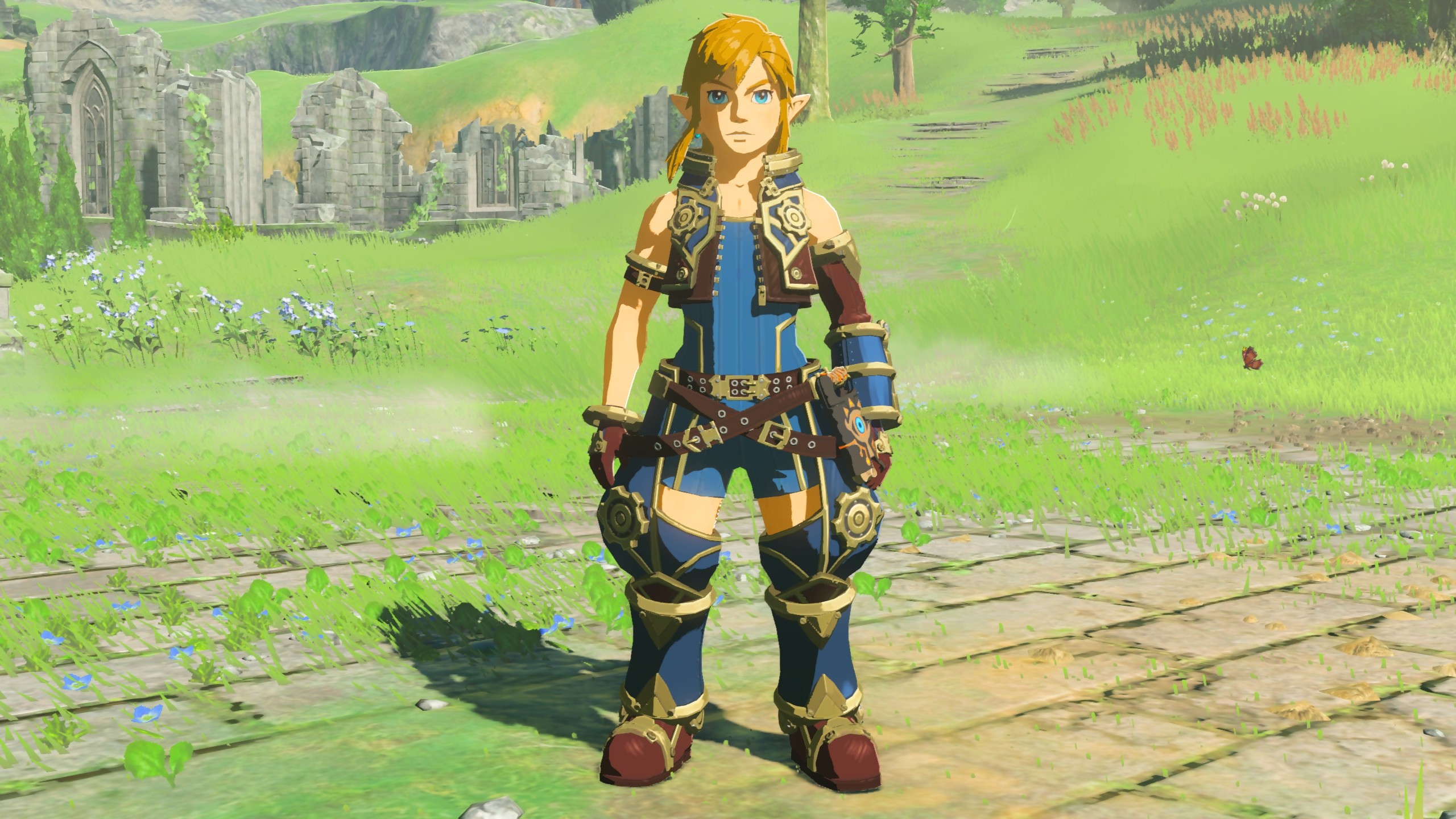 Zelda nintendo the breath of the