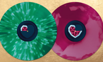 Zelda Ocarina of Time : un double vinyle de la B.O. créé par des fans
