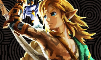 Zelda Tears of the Kingdom : l'artbook complet a fuité, attention aux spoilers !