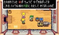 The Legend of Zelda : The Minish Cap