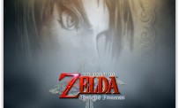 USA : un million de Zelda TP sur Wii