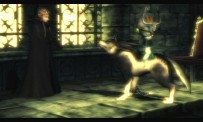 The Legend of Zelda : Twilight Princess