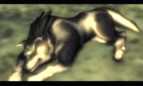 The Legend of Zelda : Twilight Princess