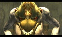 The Legend of Zelda : Twilight Princess