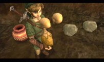 The Legend of Zelda : Twilight Princess