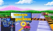 The Simpsons : Road Rage
