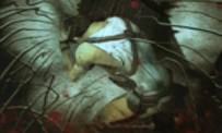 The Suffering : Les Liens qui nous unissent