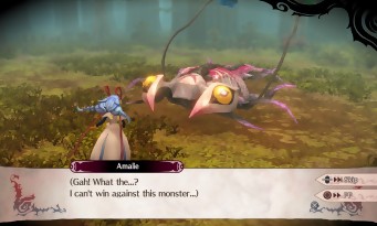 The Witch and the Hundred Knight 2