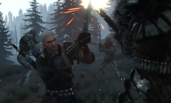 The Witcher 3 : Wild Hunt