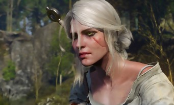 The Witcher 3 : Wild Hunt