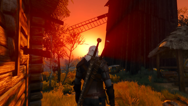 The Witcher 3 : Wild Hunt