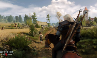 The Witcher 3 : Wild Hunt