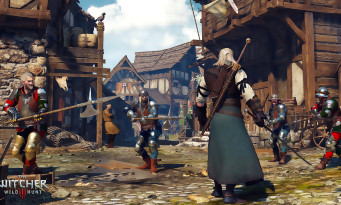 The Witcher 3 : Wild Hunt