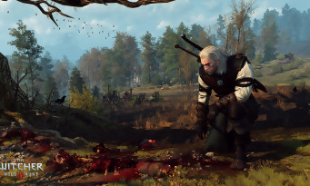 The Witcher 3 : Wild Hunt