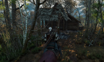 The Witcher 3 : Wild Hunt