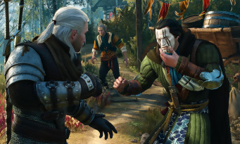 The Witcher 3 : Wild Hunt