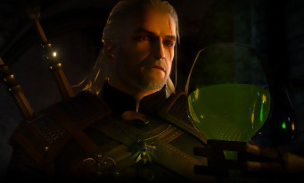 The Witcher 3 : Wild Hunt