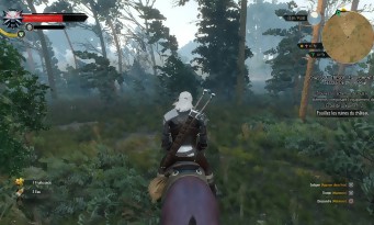 The Witcher 3 : Wild Hunt