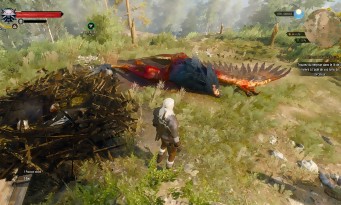 The Witcher 3 : Wild Hunt