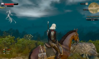 The Witcher 3 : Wild Hunt