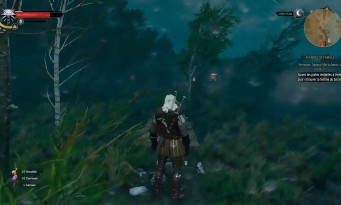 The Witcher 3 : Wild Hunt