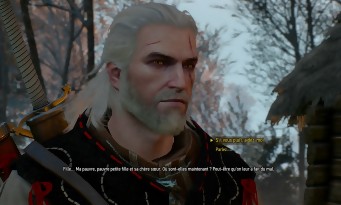 The Witcher 3 : Wild Hunt