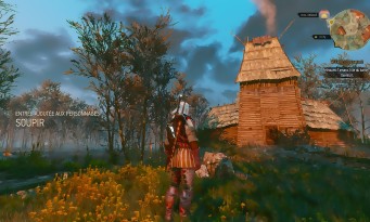 The Witcher 3 : Wild Hunt