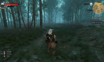 The Witcher 3 : Wild Hunt