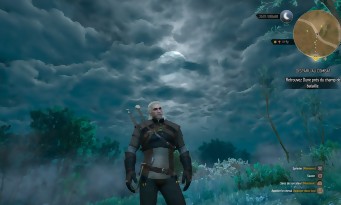 The Witcher 3 : Wild Hunt