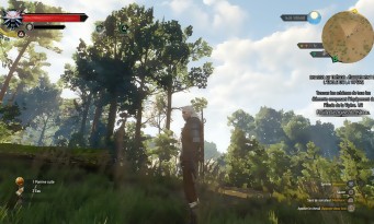 The Witcher 3 : Wild Hunt