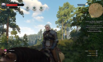 The Witcher 3 : Wild Hunt