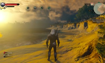 The Witcher 3 : Wild Hunt