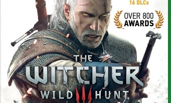 The Witcher 3 : Wild Hunt