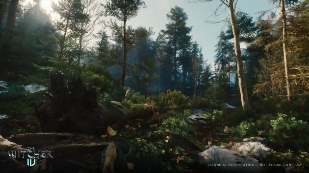 The Witcher 4